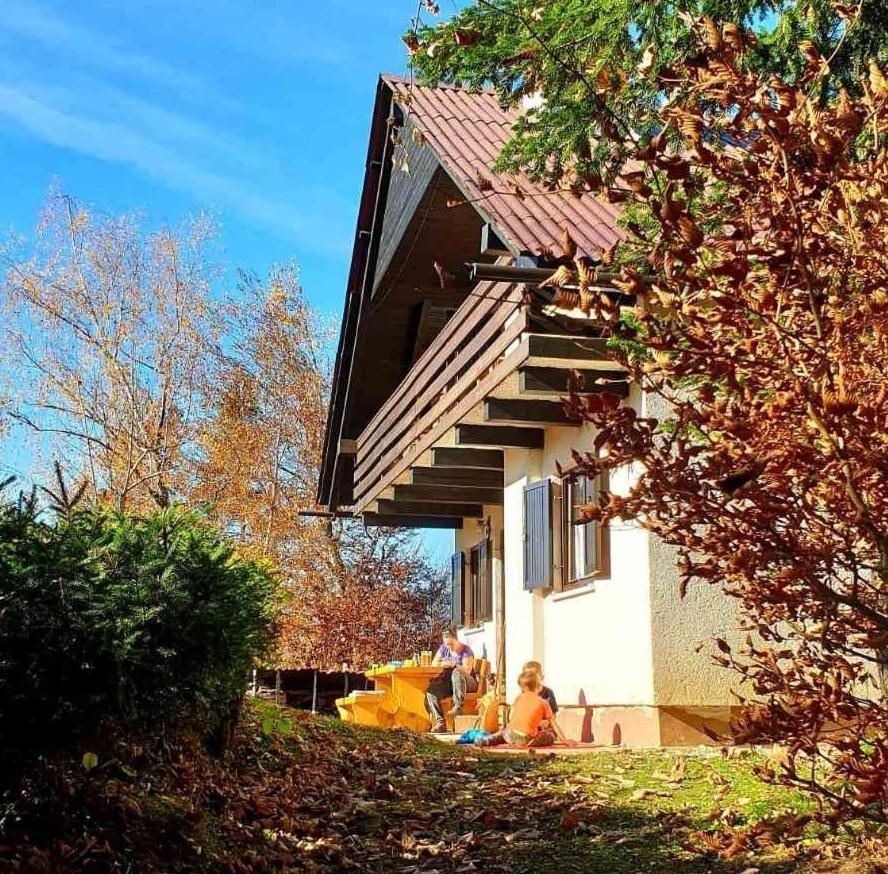Pet & Family Friendly House Viktorija - House Near Golica With Triglav View Villa Jesenice Exterior photo