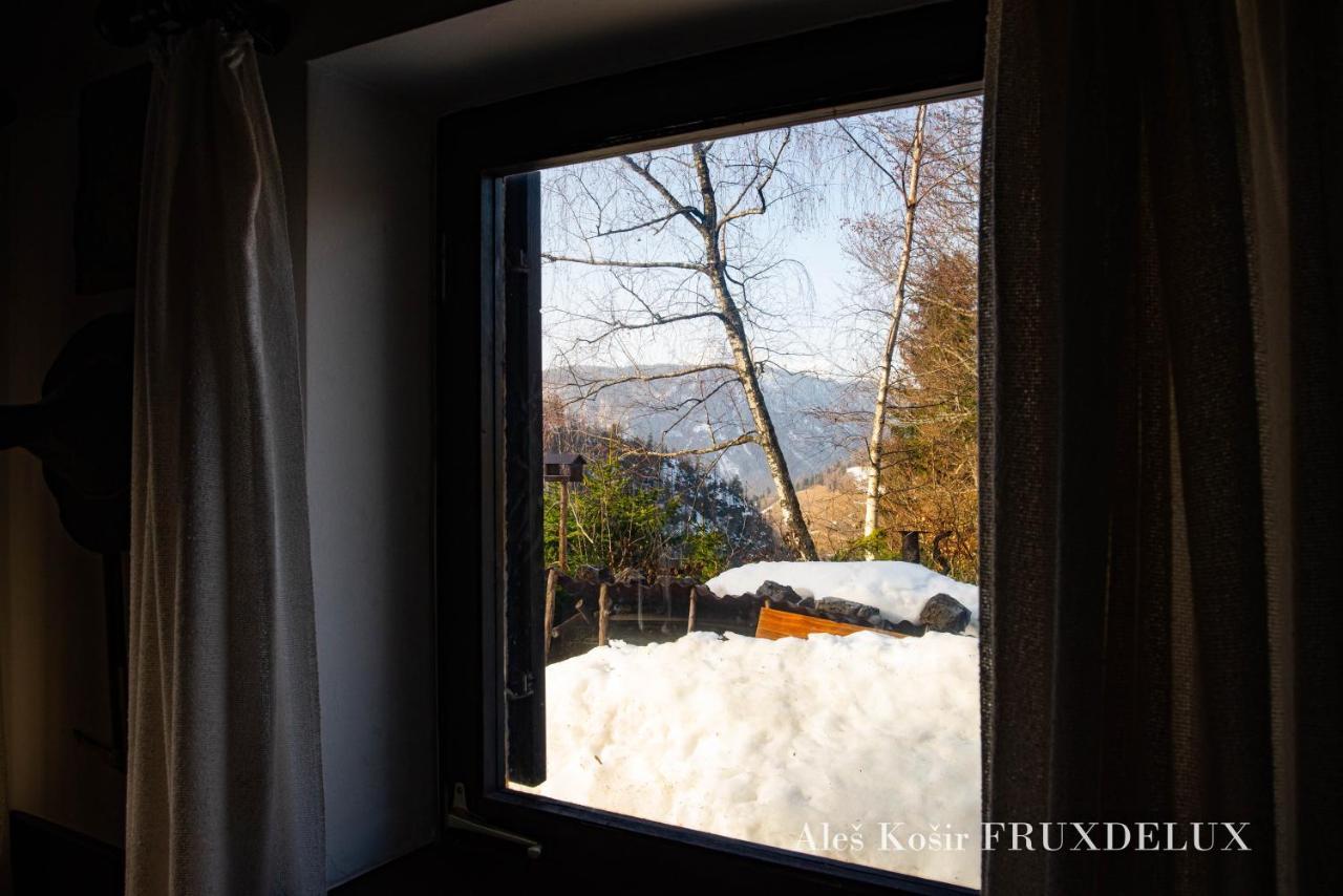Pet & Family Friendly House Viktorija - House Near Golica With Triglav View Villa Jesenice Exterior photo