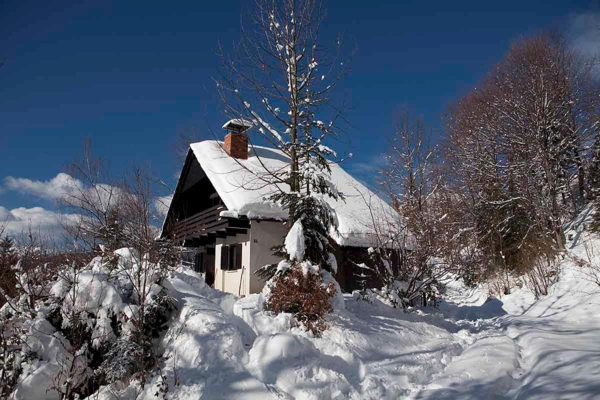 Pet & Family Friendly House Viktorija - House Near Golica With Triglav View Villa Jesenice Exterior photo