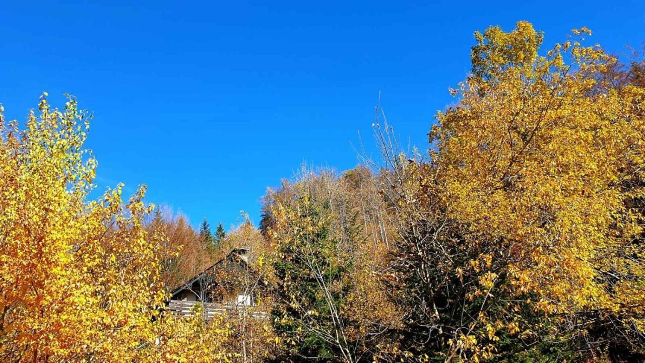 Pet & Family Friendly House Viktorija - House Near Golica With Triglav View Villa Jesenice Exterior photo