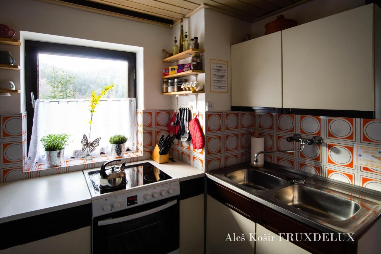 Pet & Family Friendly House Viktorija - House Near Golica With Triglav View Villa Jesenice Exterior photo